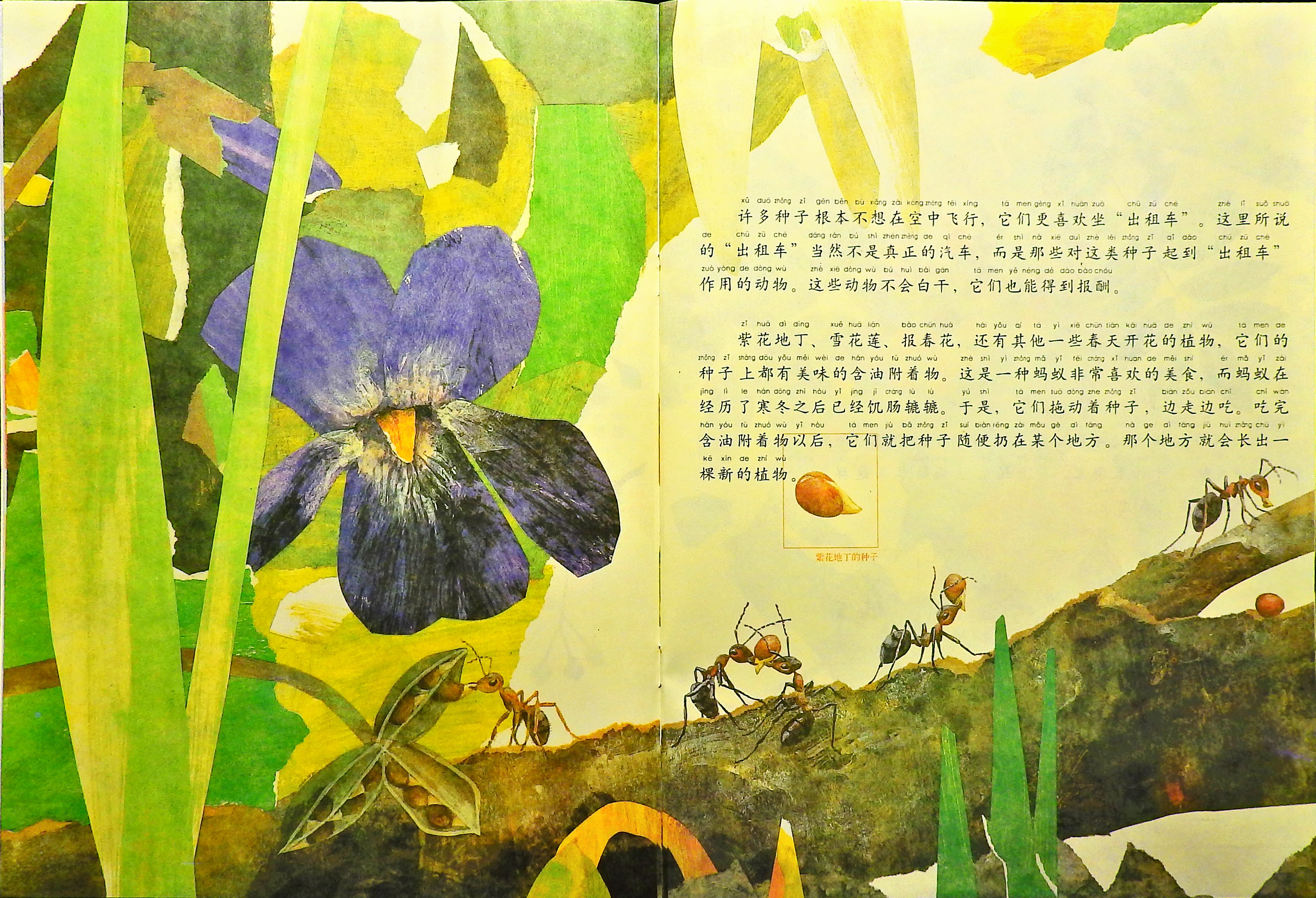 一粒种子的旅行 (08),绘本,绘本故事,绘本阅读,故事书,童书,图画书,课外阅读